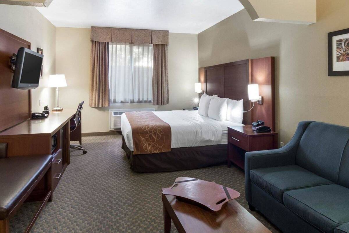 Una habitación de hotel con cama, escritorio, televisor y sofá.