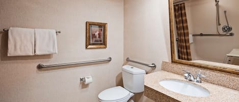Un baño con inodoro, lavabo y ducha. Hay barras de apoyo y un perchero para toallas.