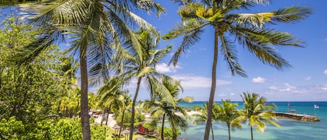 A tropical resort with palm trees, a beach, and a pier.