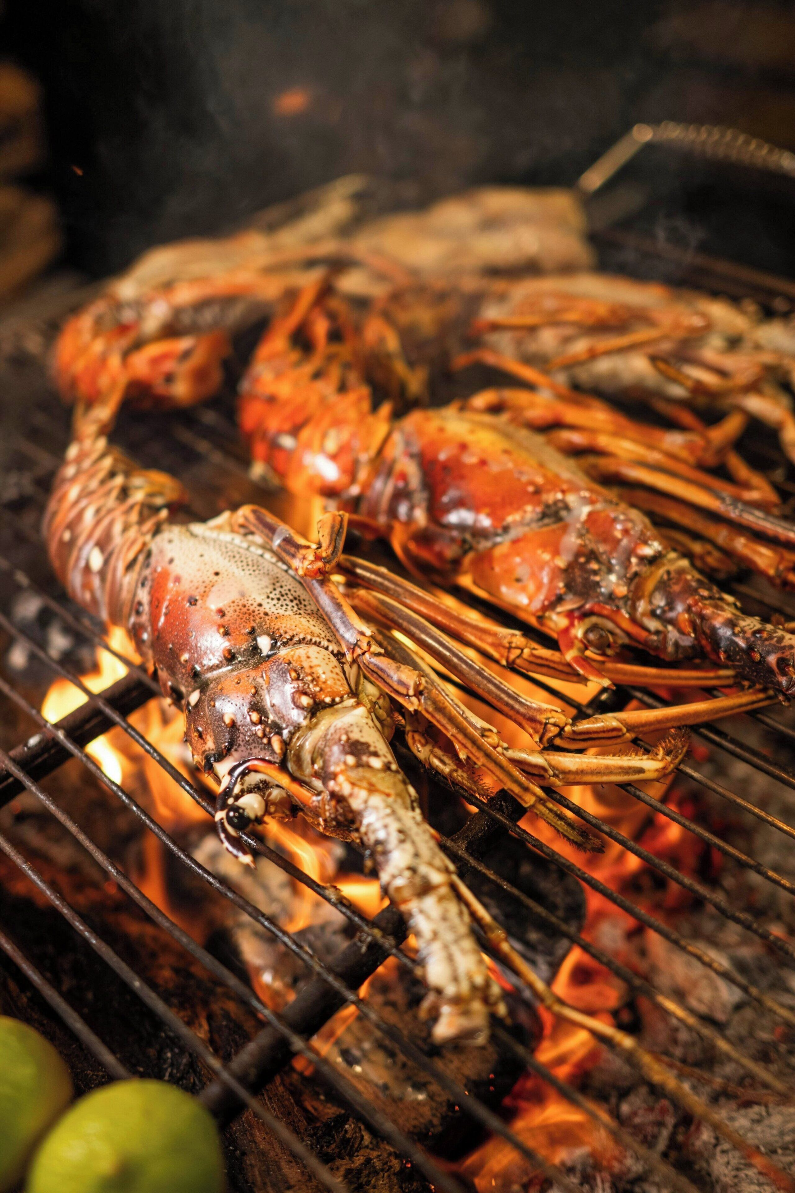 Lobsters being grilled over an open flame.