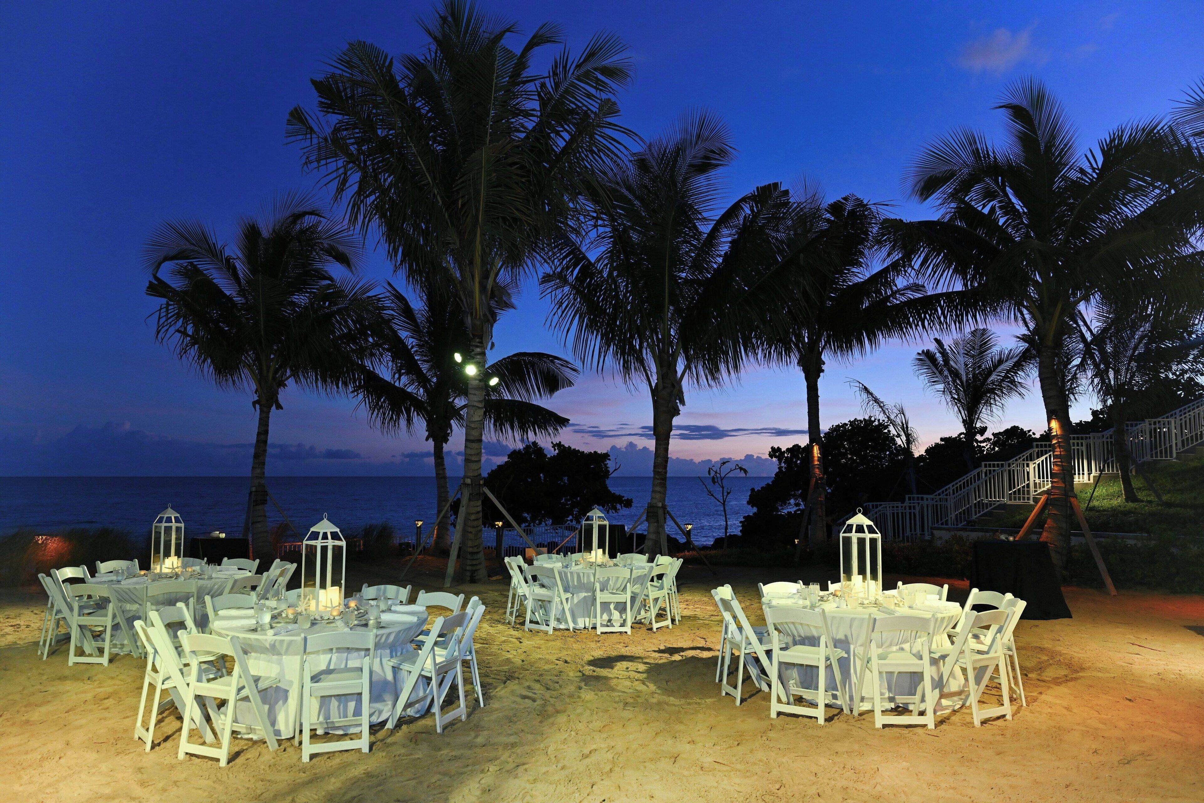 An outdoor dining area with white tables and chairs, surrounded by palm trees, set against a backdrop of the ocean and a clear sky.