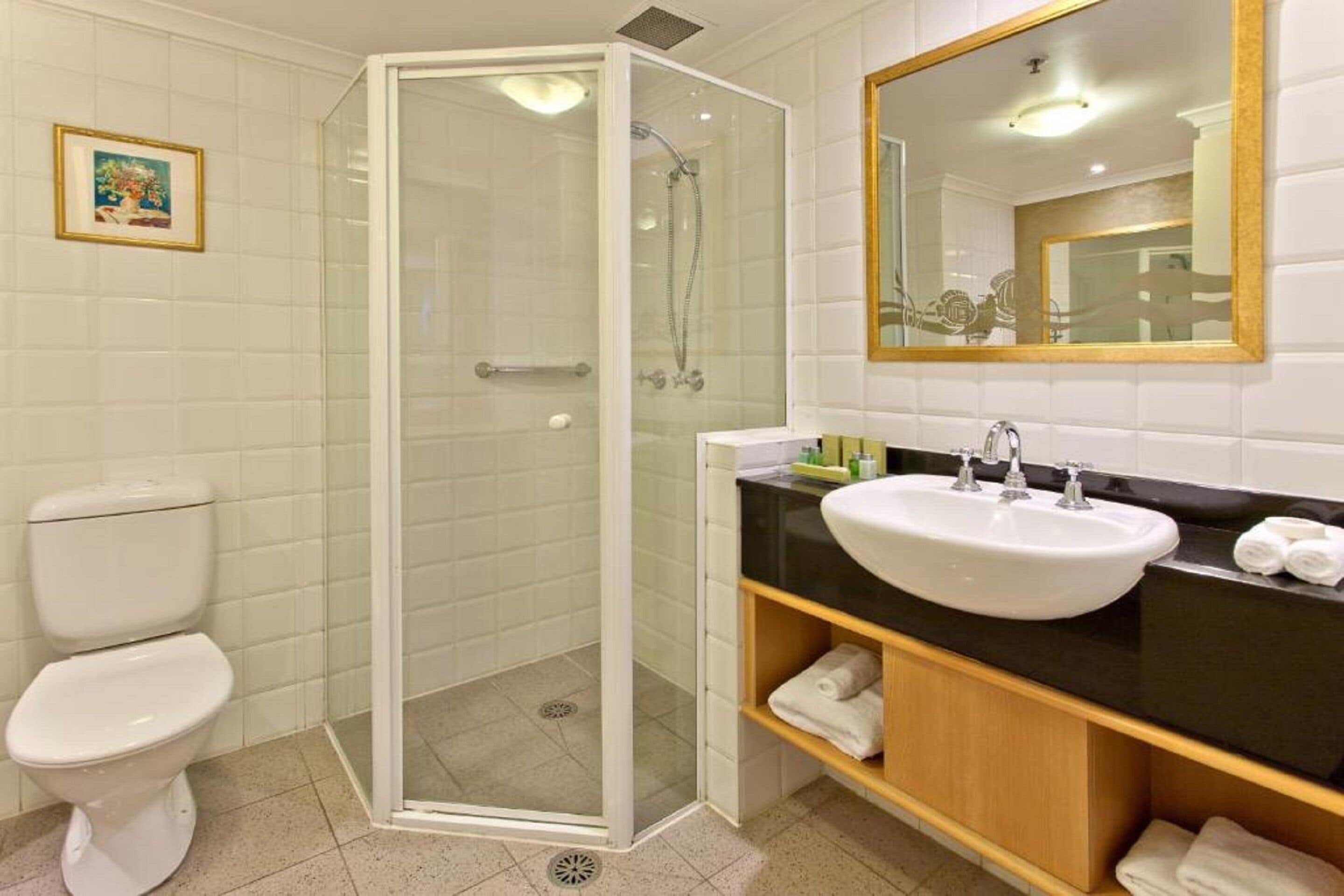 Un bany amb dutxa amb envàs de vidre, un vàter blanc, un lavabo amb taulell negre i un mirall amb marc daurat.