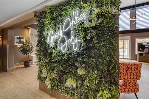 爱德蒙顿贝斯特韦斯特普拉斯酒店