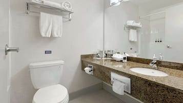 Une salle de bain équipée d’un WC, d’un lavabo, d’un miroir, d’un porte-serviettes et d’un distributeur de serviettes en papier.
