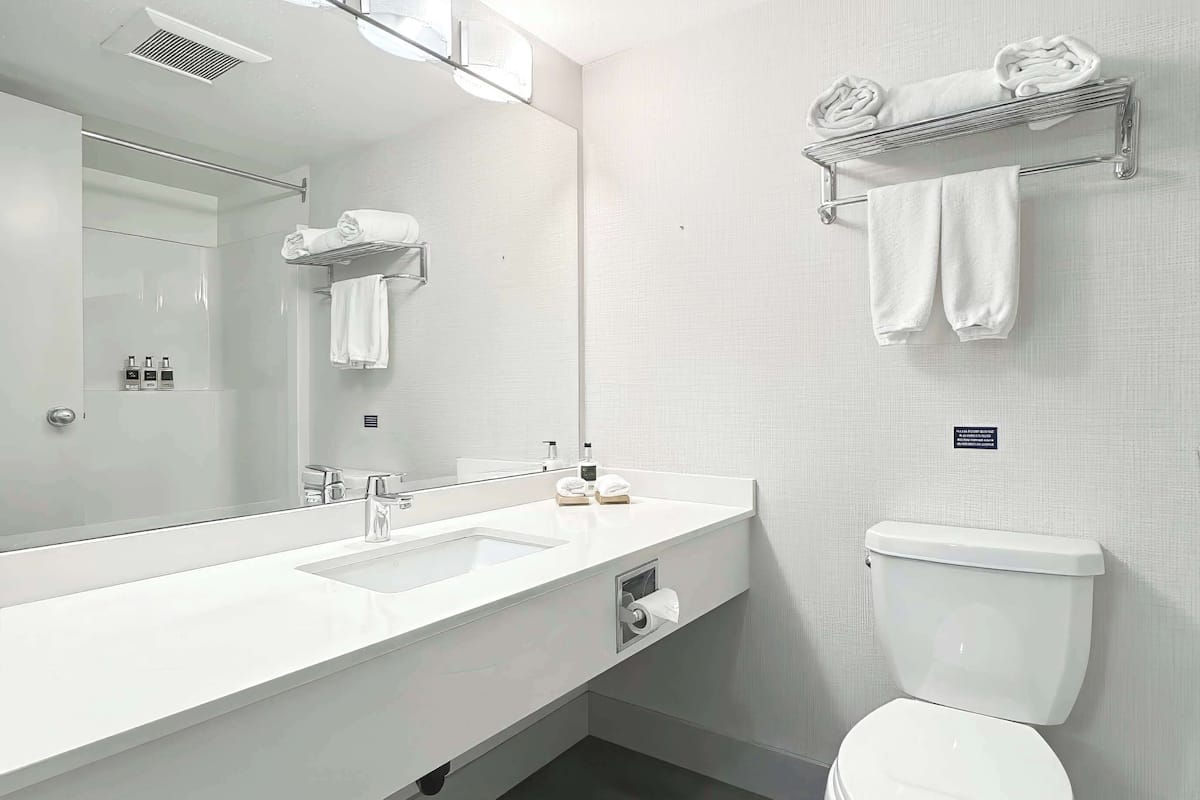 combined shower/bathtub, eco-friendly toiletries, hair dryer, towels