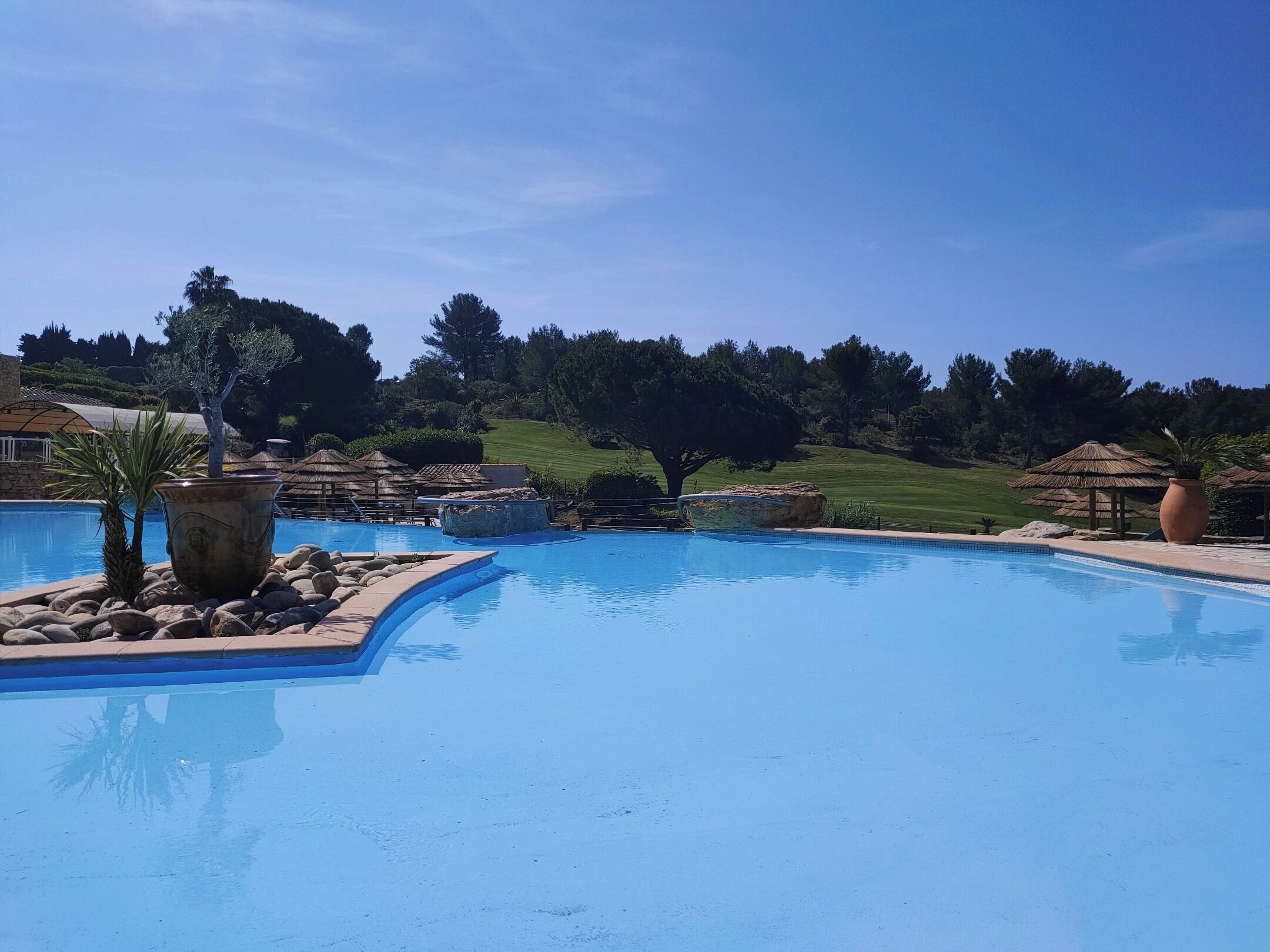 A swimming pool with a curved edge, surrounded by rocks and potted plants.