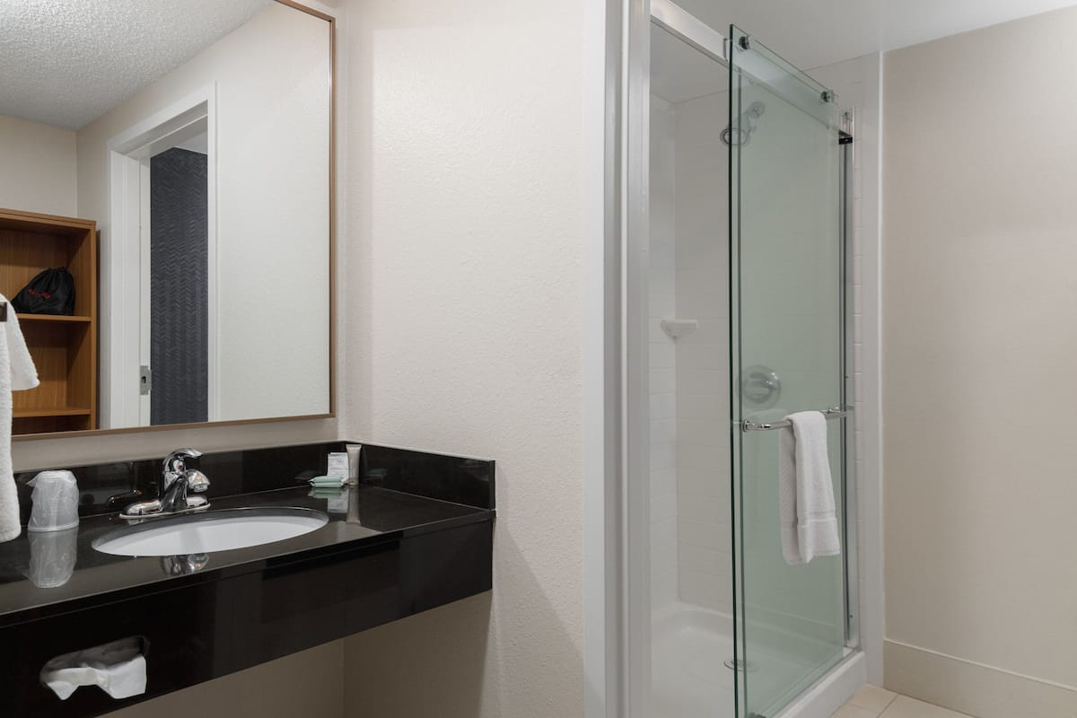 room, 1 king bed with sofa bed, non smoking | bathroom | hair dryer, towels