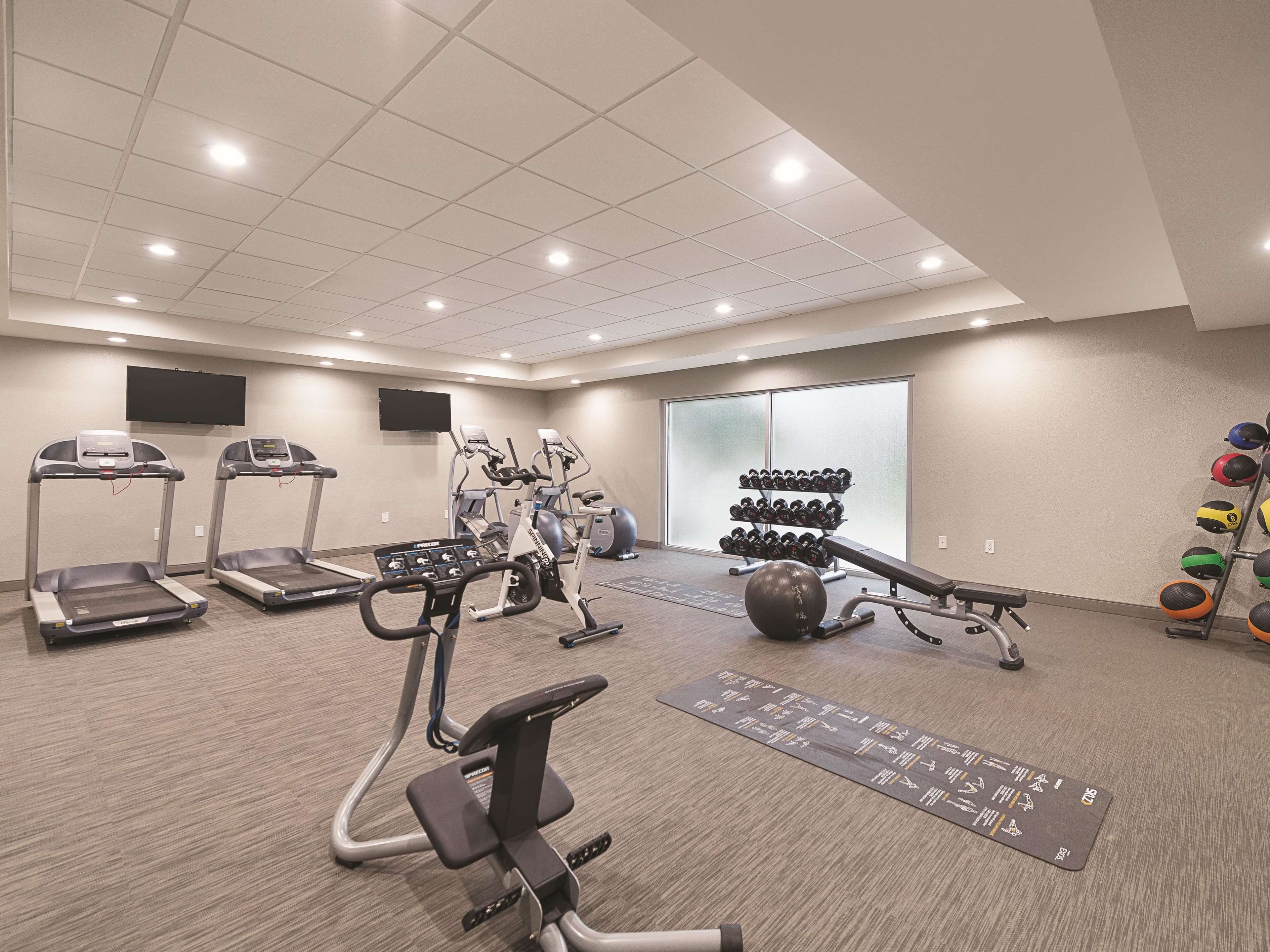 A gym with treadmills, elliptical machines, a bench press, and a rack of dumbbells.