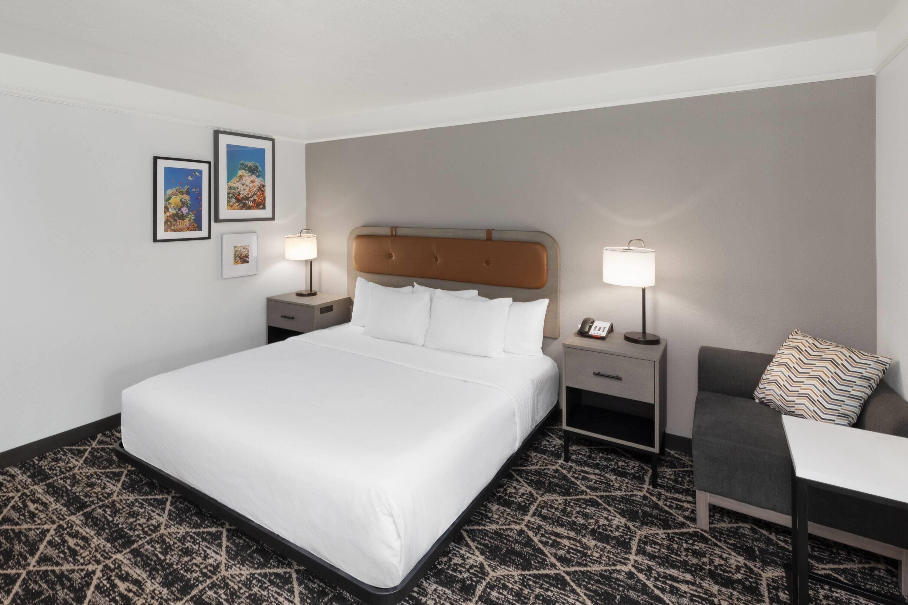 Room, 1 King Bed, Hearing Accessible, Non Smoking (Mobility, Roll-in Shower) | Pillowtop beds, desk, laptop workspace, blackout drapes