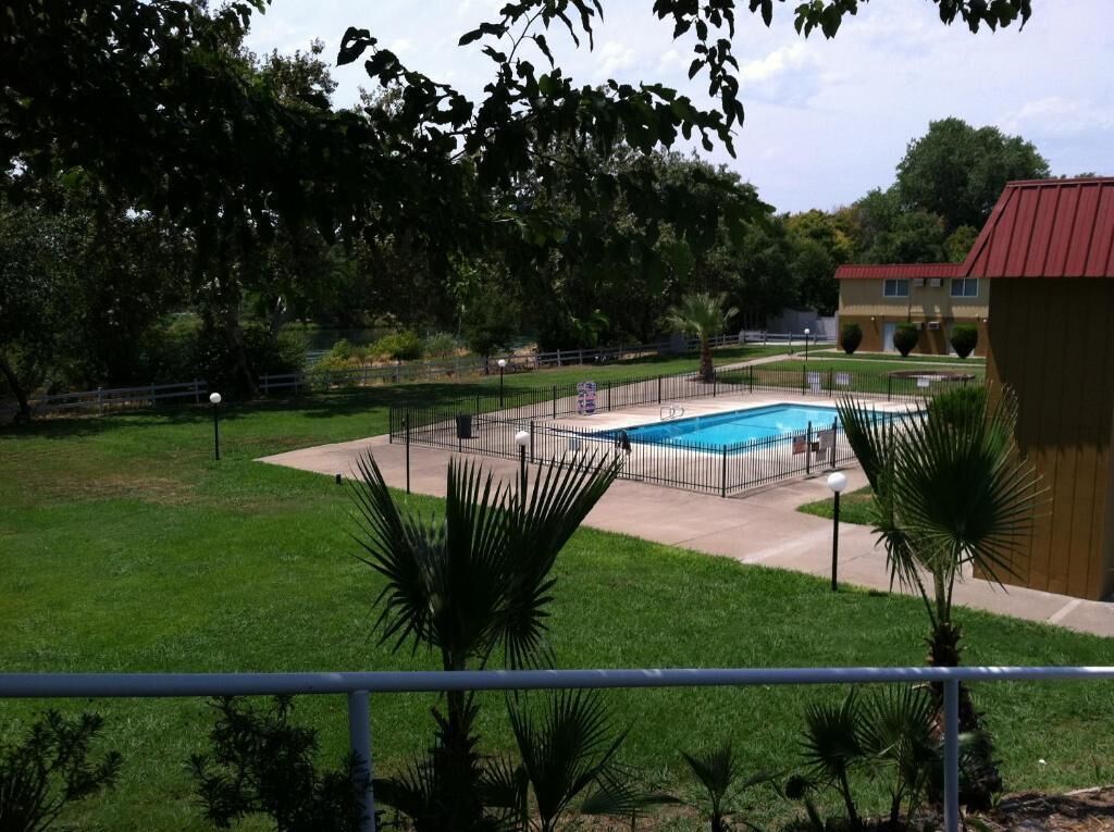 A fenced swimming pool with a surrounding lawn and palm trees.