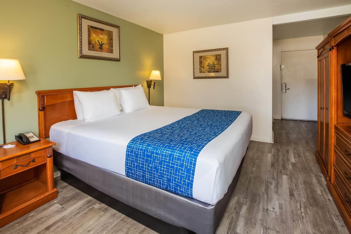 Kamar, 1 Tempat Tidur Queen, difabel mobilitas, Bebas Asap Rokok (Roll-in Shower, Ground Floor) | Meja kerja, setrika/meja setrika, dan tempat tidur bayi gratis
