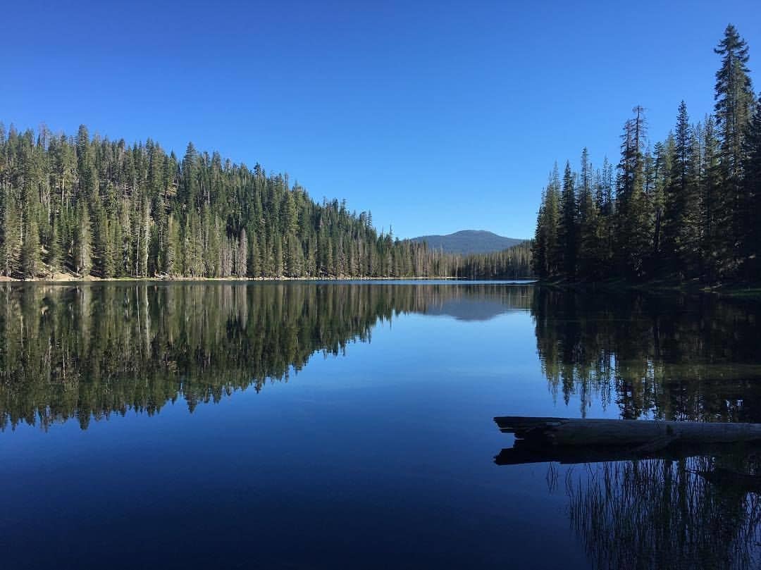 Un lago tranquilo flanqueado por un bosque denso y con una montaña al fondo.