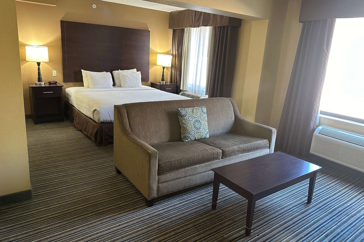 executive studio suite, 1 king bed, non smoking | hypo-allergenic bedding, individually furnished, desk, laptop workspace