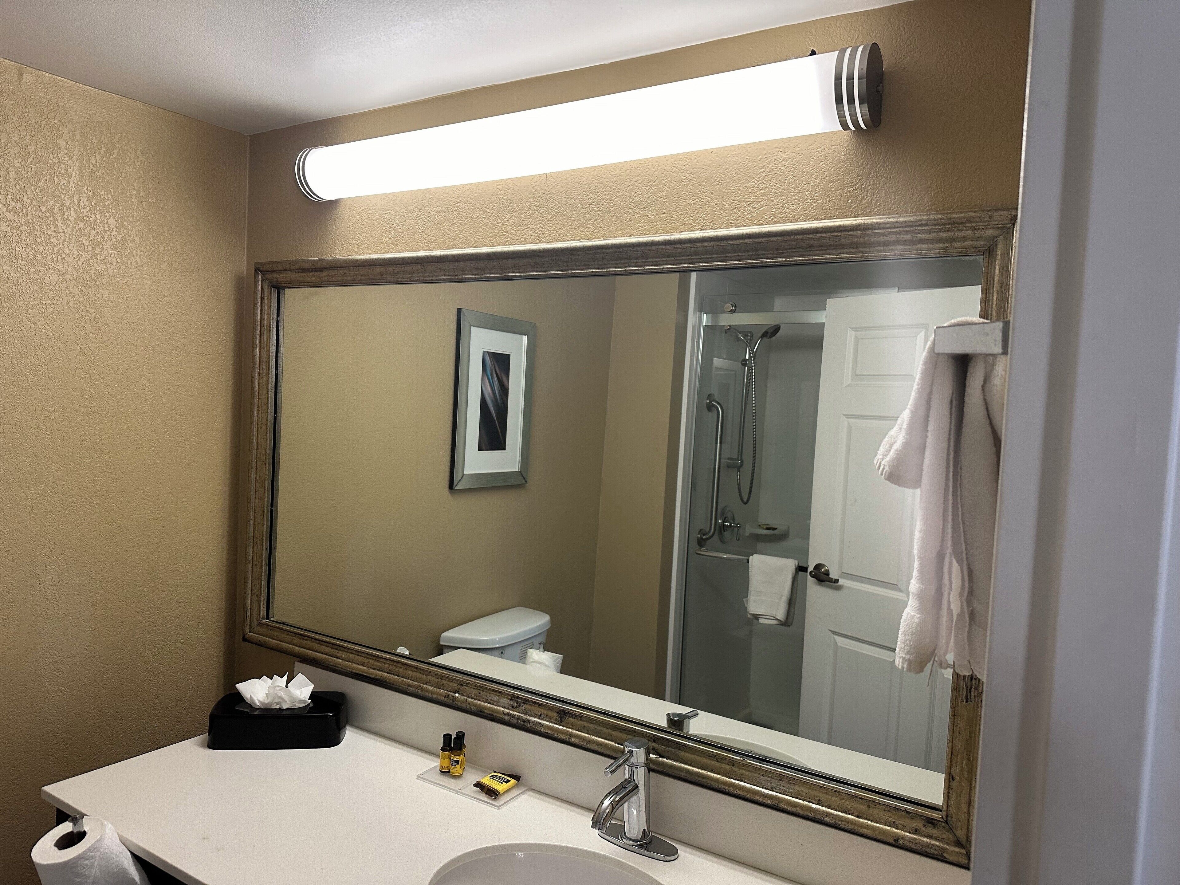 executive studio suite, 1 king bed, non smoking | bathroom | free toiletries, hair dryer, towels, soap