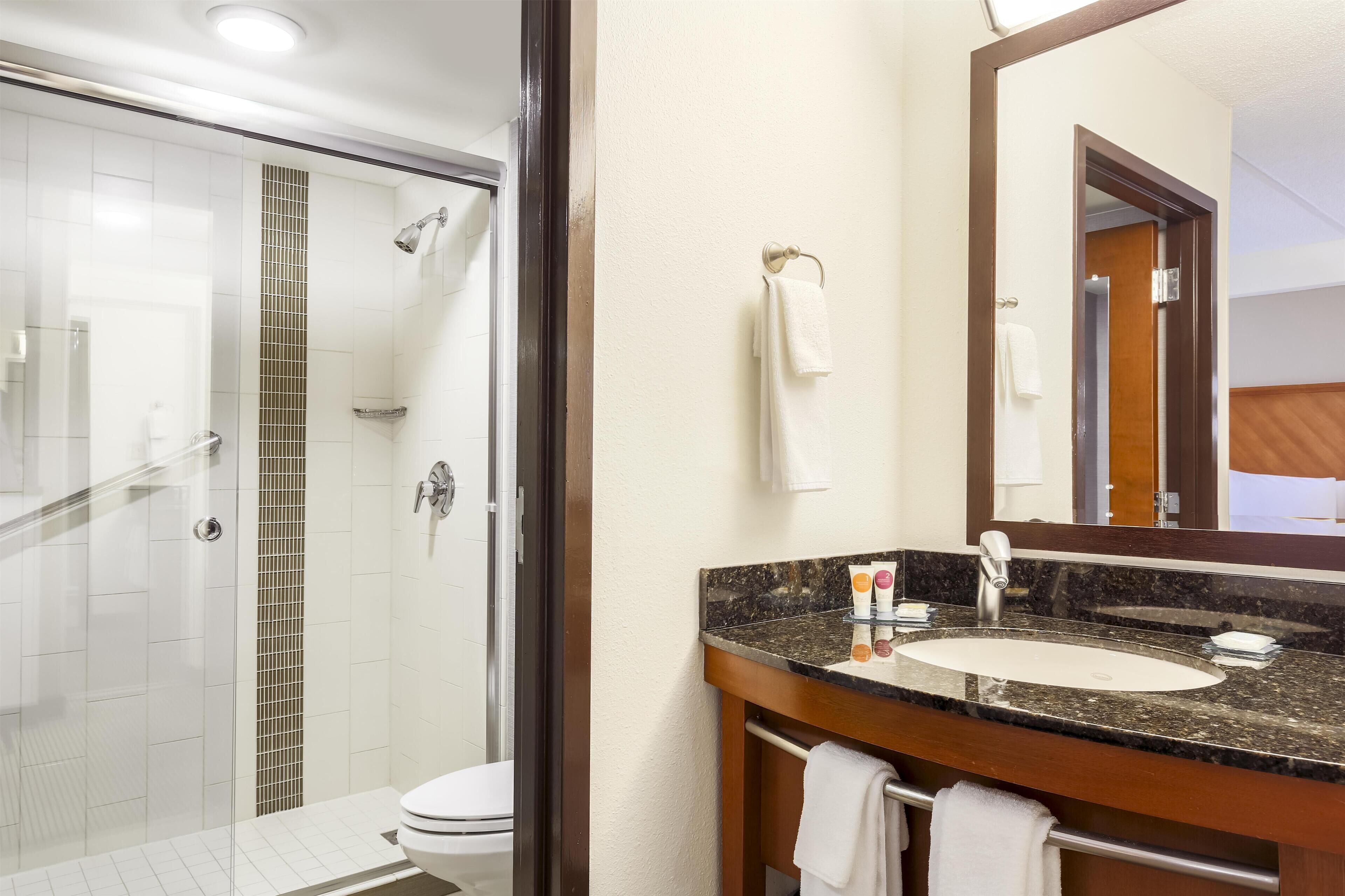 A hotel bathroom with a glass-enclosed shower, a sink with a marble countertop, and a large mirror.