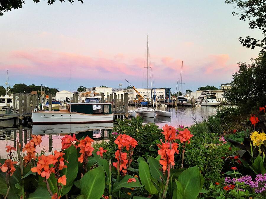 Un port de plaisance où sont amarrés des bateaux, entouré d’une végétation luxuriante et de plantes en fleurs.