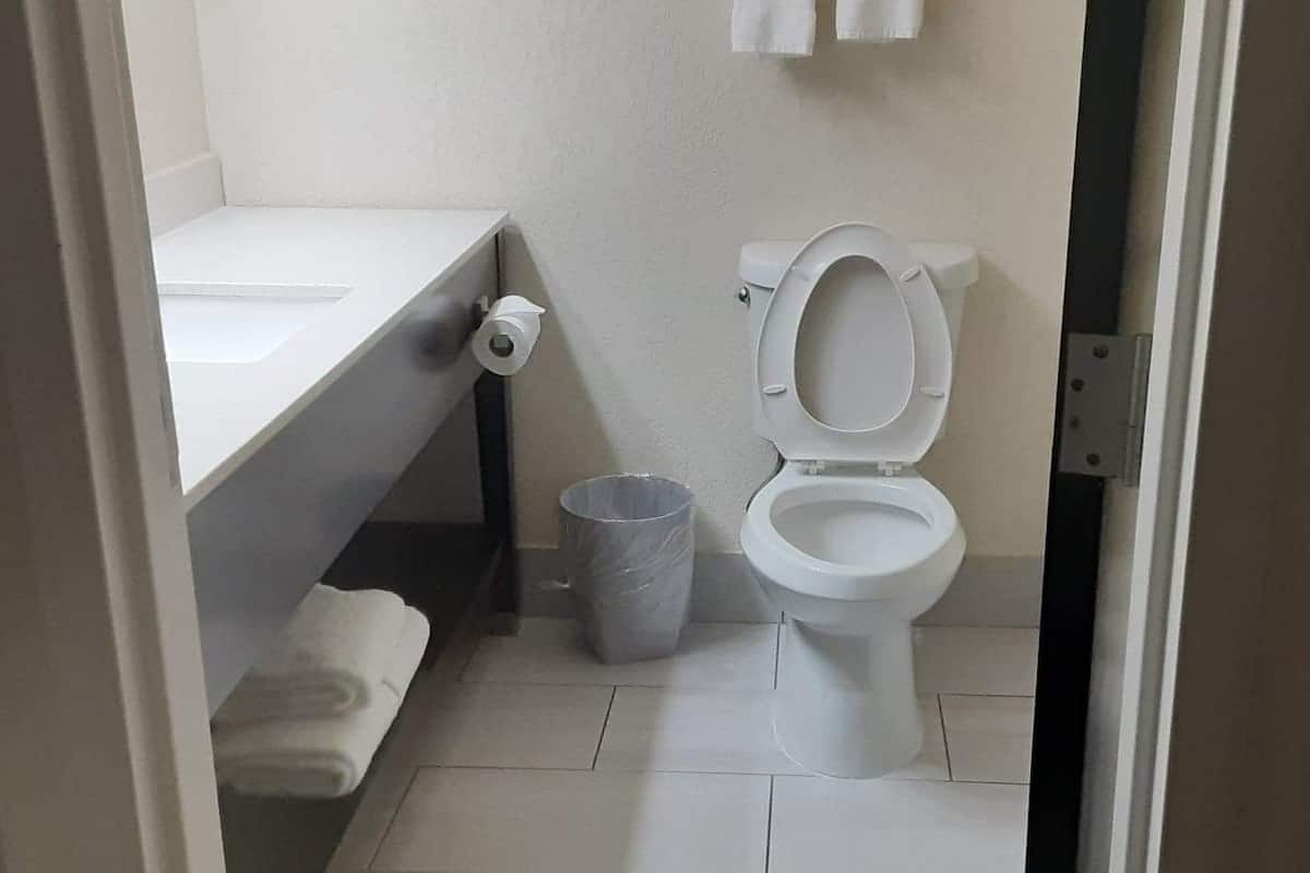 free toiletries, hair dryer, towels