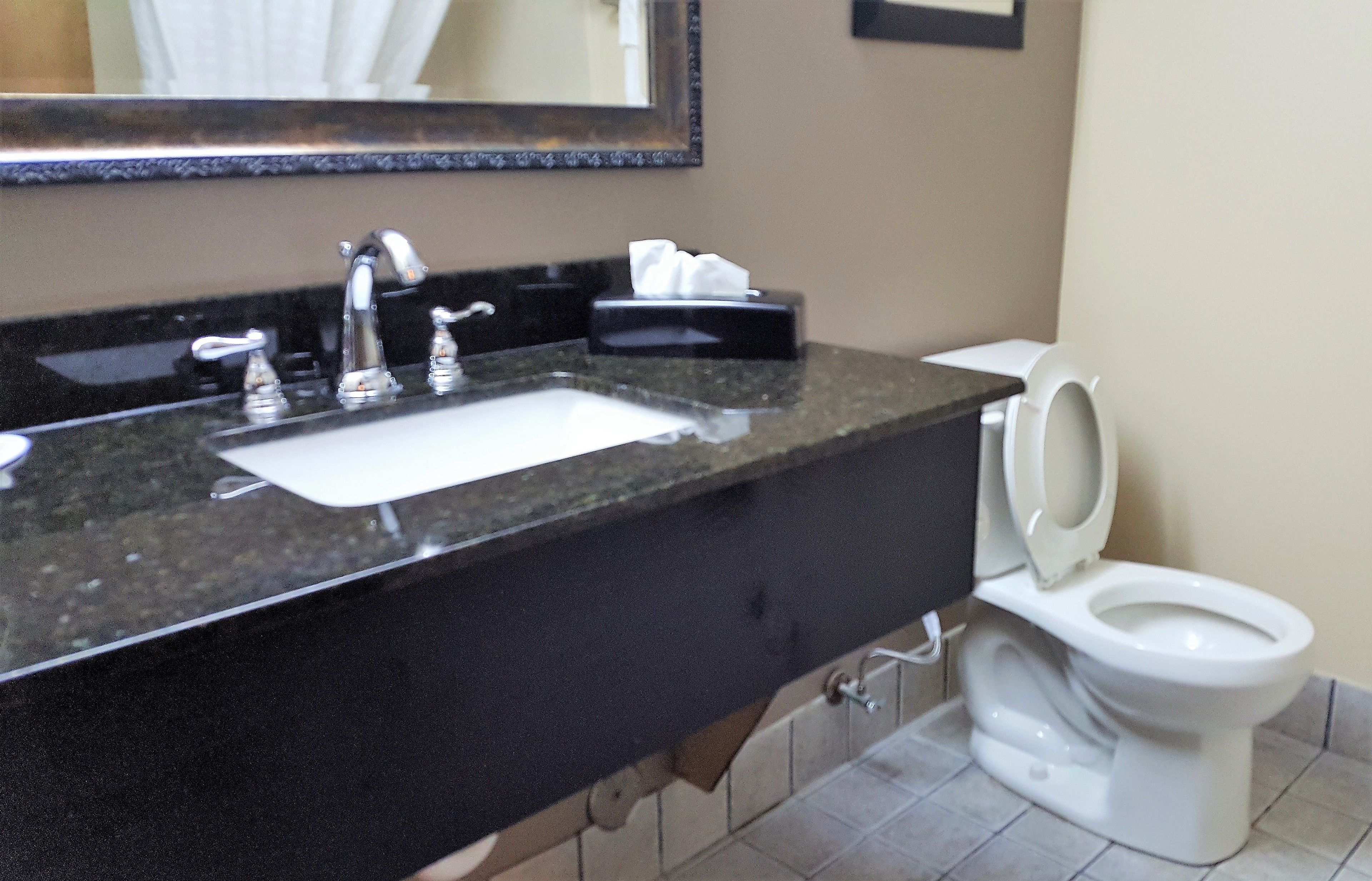 A bathroom with a black countertop sink, a mirror, and a toilet.