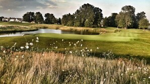 Un campo de golf con un estanque, árboles y una zona cubierta de césped.