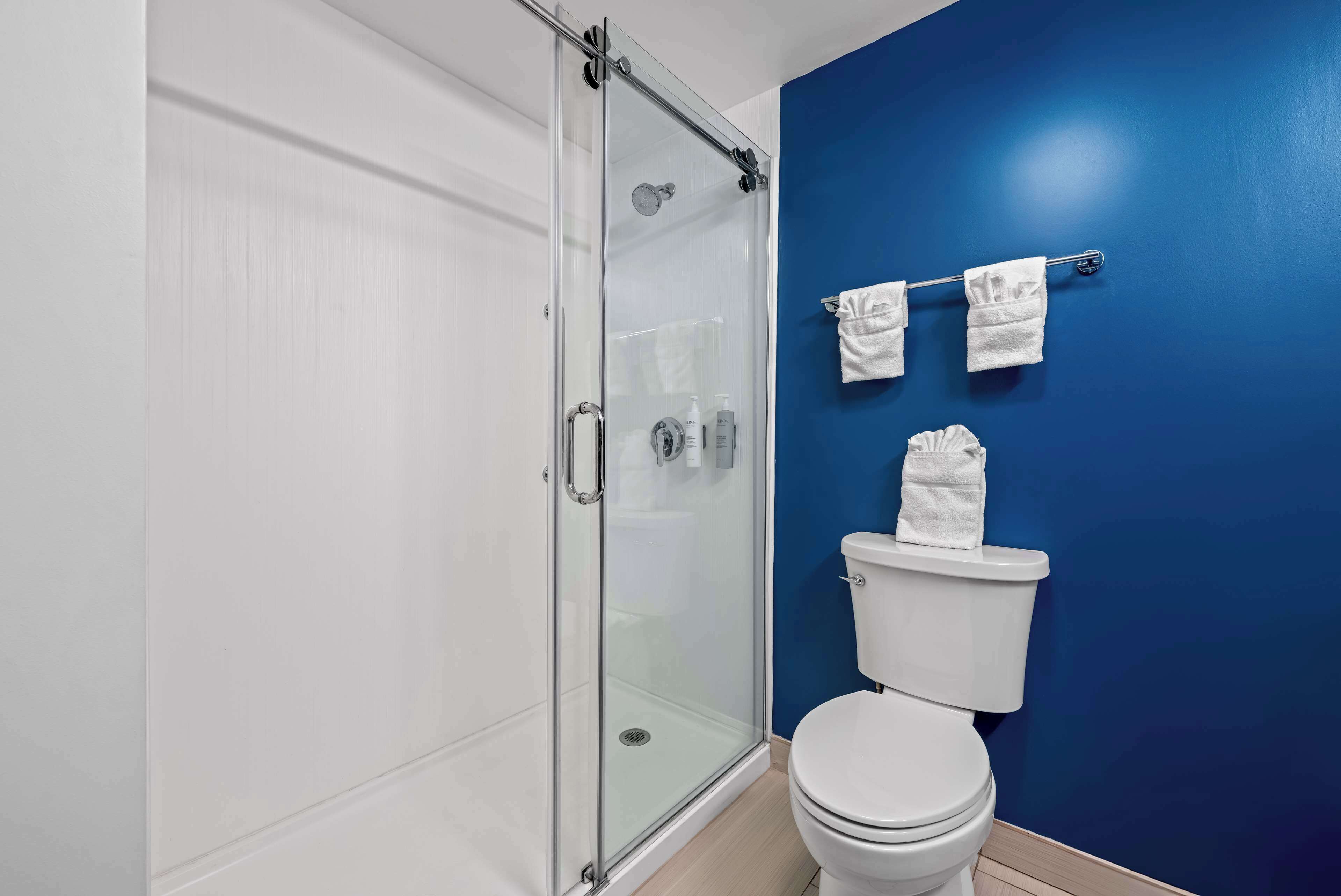 A bathroom with a glass-enclosed shower, a white toilet, and blue walls.