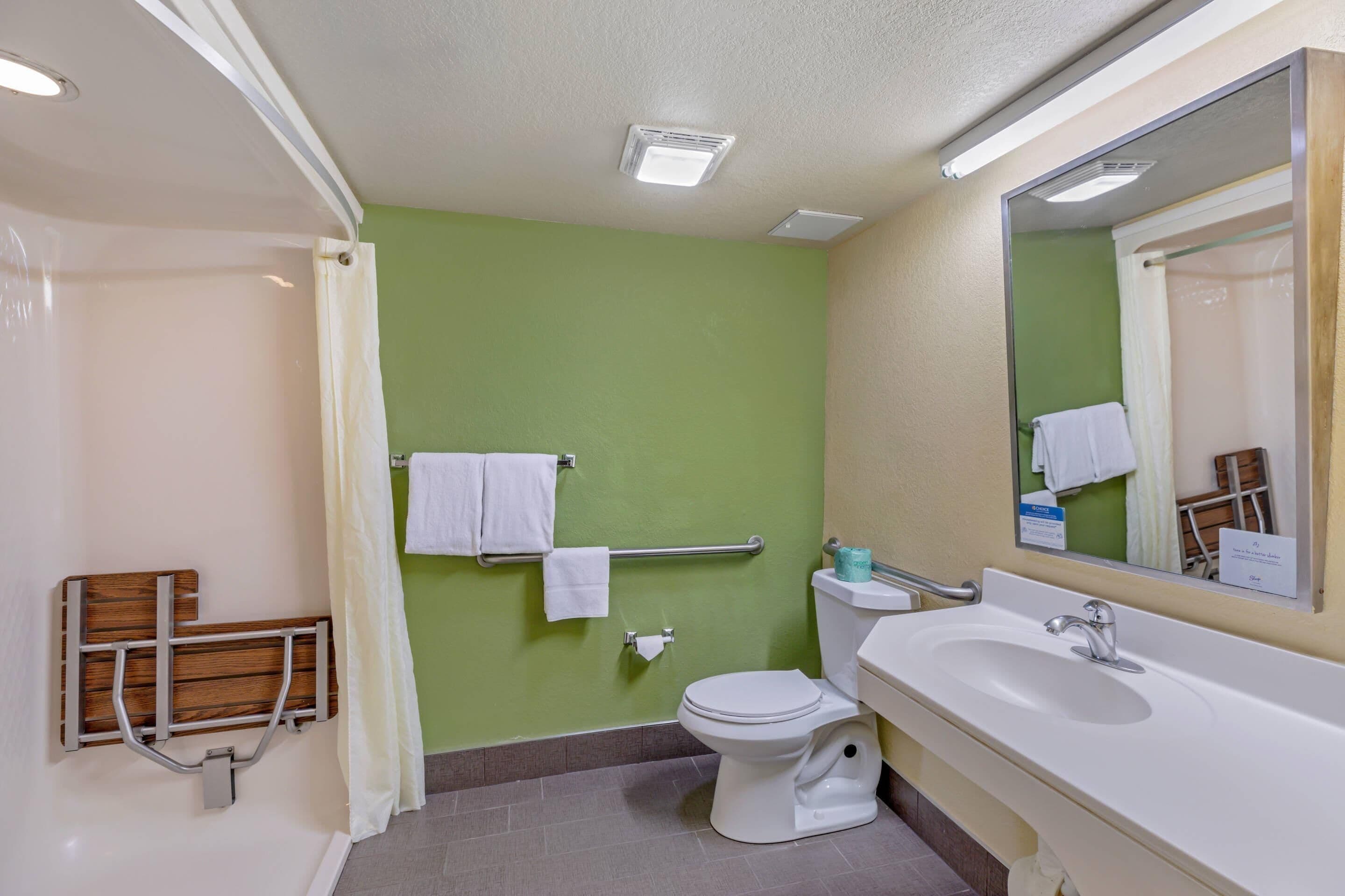 room, 1 queen bed, accessible, non smoking (roll-in shower) | bathroom | shower, free toiletries, hair dryer, towels