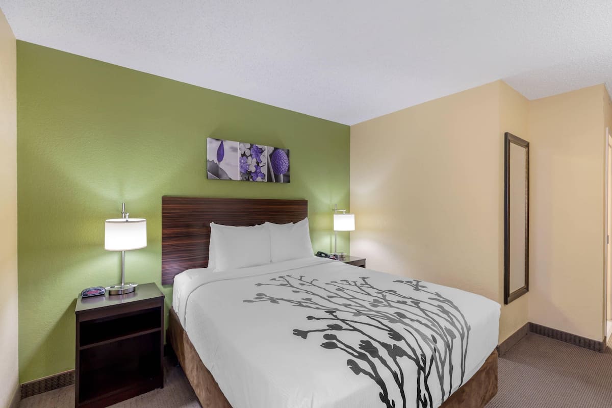 A hotel room with a bed, two bedside tables with lamps, a nightstand, a wall-mounted artwork, and a framed picture on the wall.