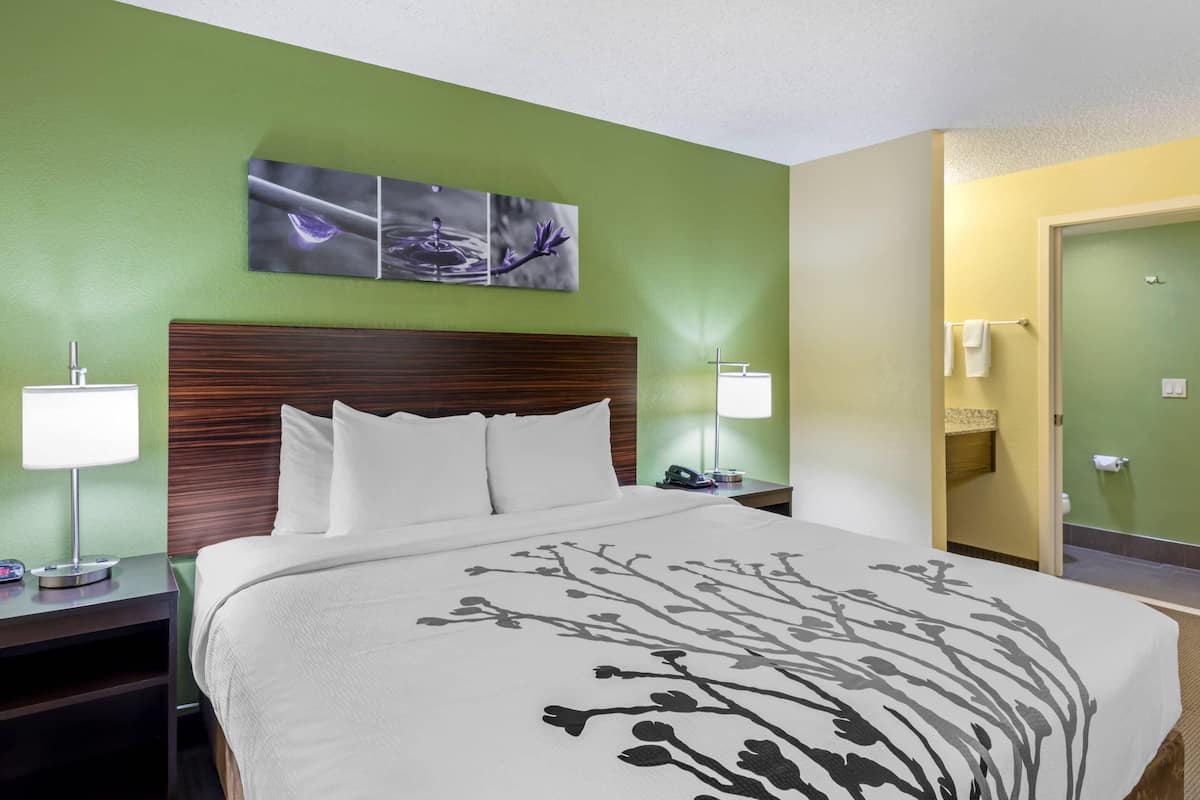 A hotel room with a large bed, a wooden headboard, a green wall, and a painting above the bed.