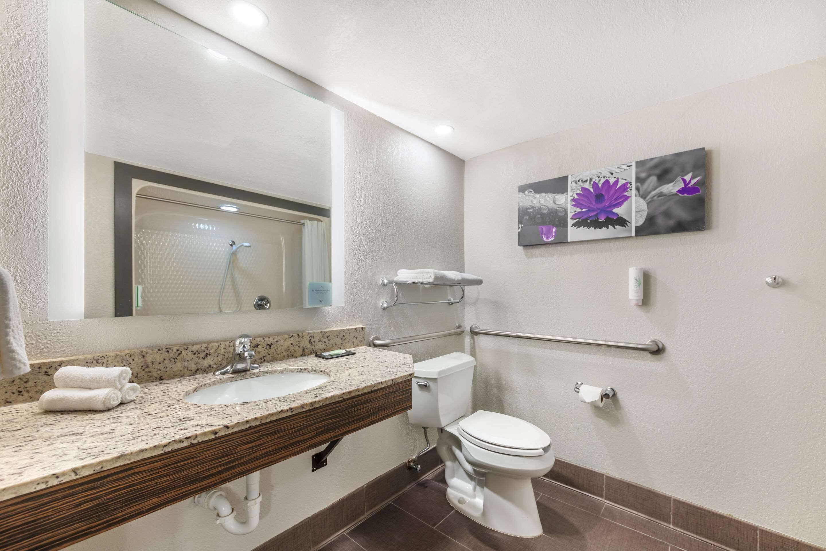 standard room, 1 queen bed, accessible, non smoking | in-room safe, desk, laptop workspace, iron/ironing board