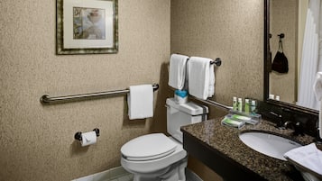 Une salle de bain équipée de toilettes, d’un lavabo et d’une barre d’appui.