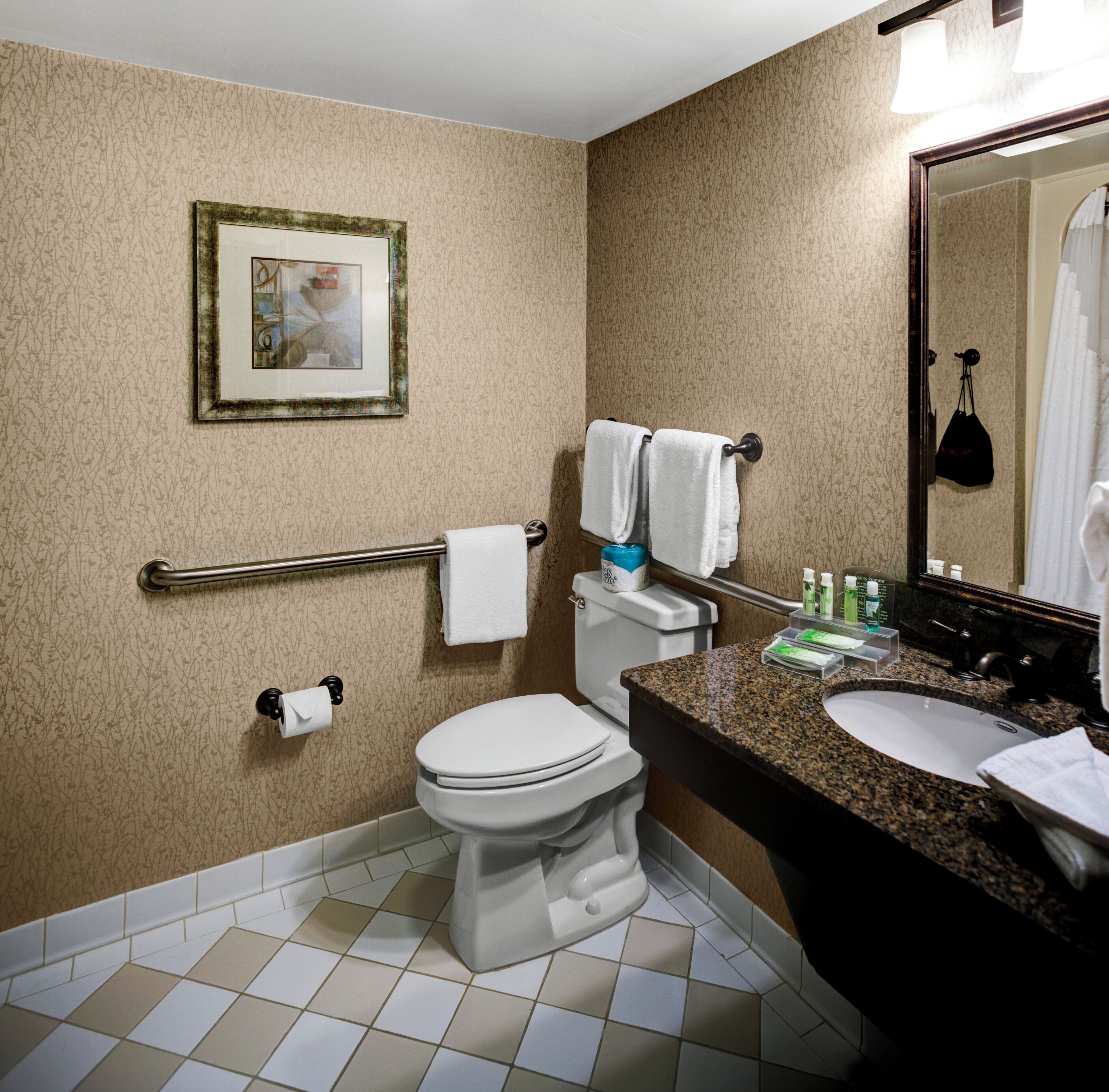 Un baño con inodoro, lavabo y barras de apoyo.