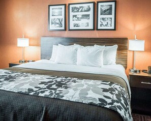Desk, laptop workspace, blackout drapes, iron/ironing board - Sleep Inn O'Fallon near I-64 (O'Fallon)