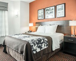 Una habitación de hotel con cama, mesita de noche, lámpara y cuadros en la pared.