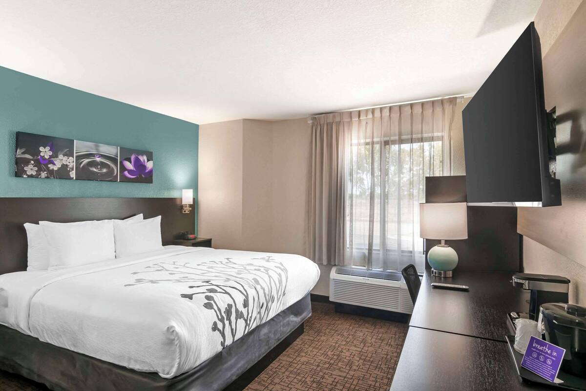 A hotel room with a bed, a desk, a flat-screen TV, a window with curtains, and a wall-mounted artwork.