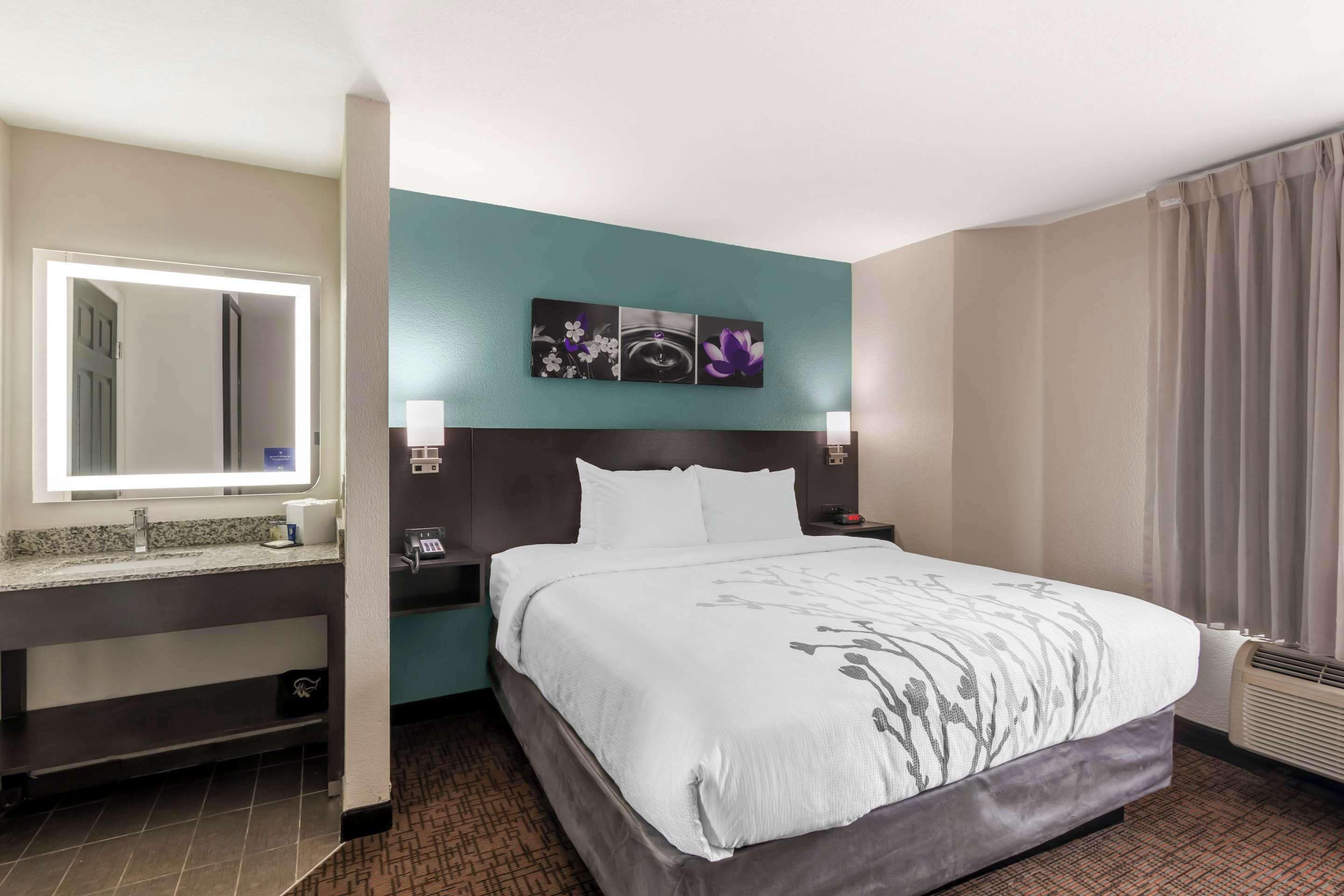 Room, 1 King Bed, Non Smoking | In-room safe, desk, blackout curtains, iron/ironing board