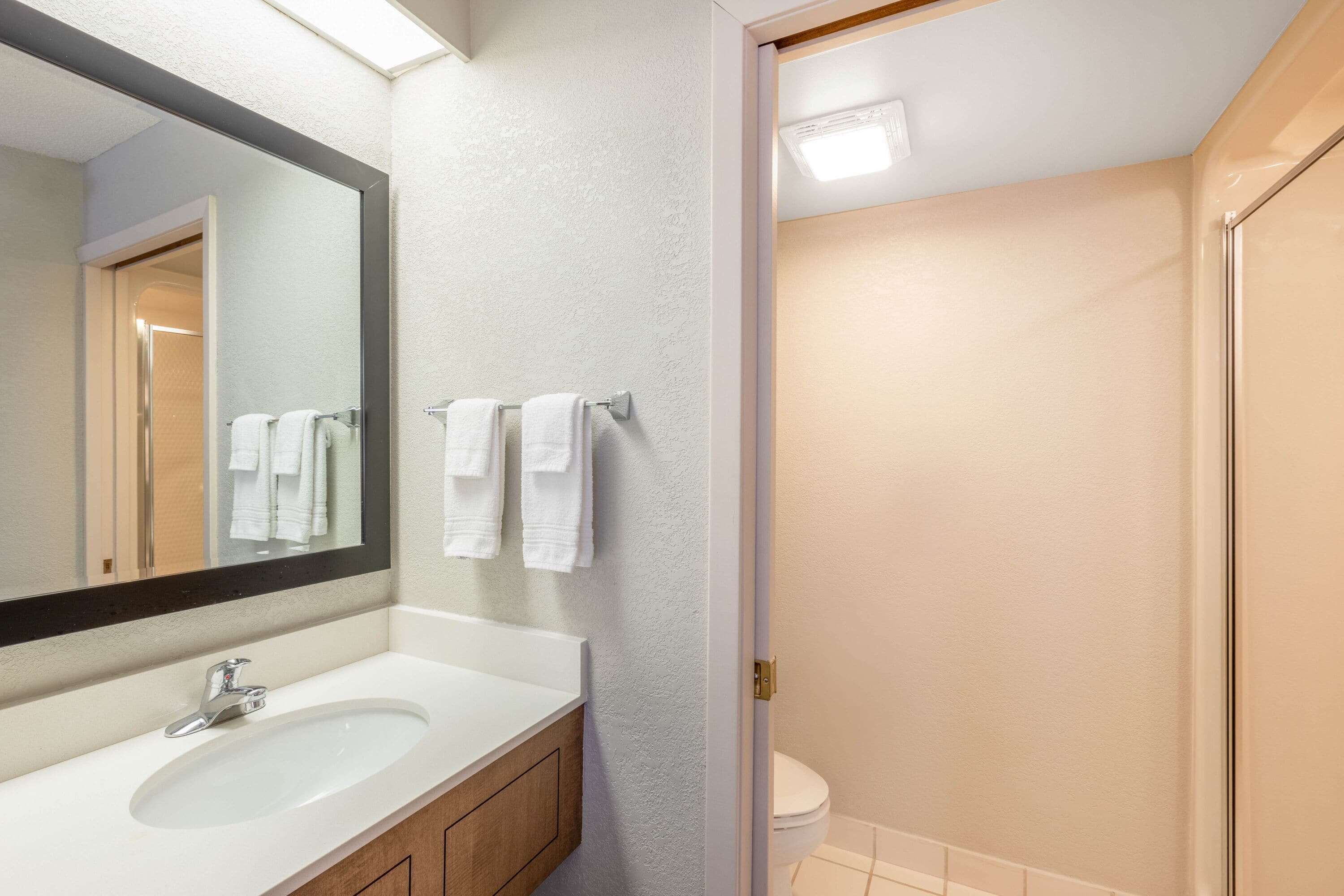 A bathroom with a white sink, a large mirror, and a toilet.