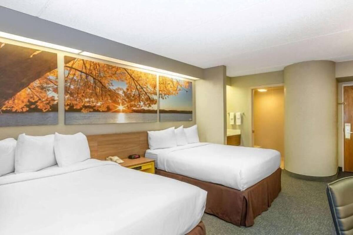Habitación de hotel con dos camas, un escritorio, un televisor y un cuadro de hojas otoñales en la pared.