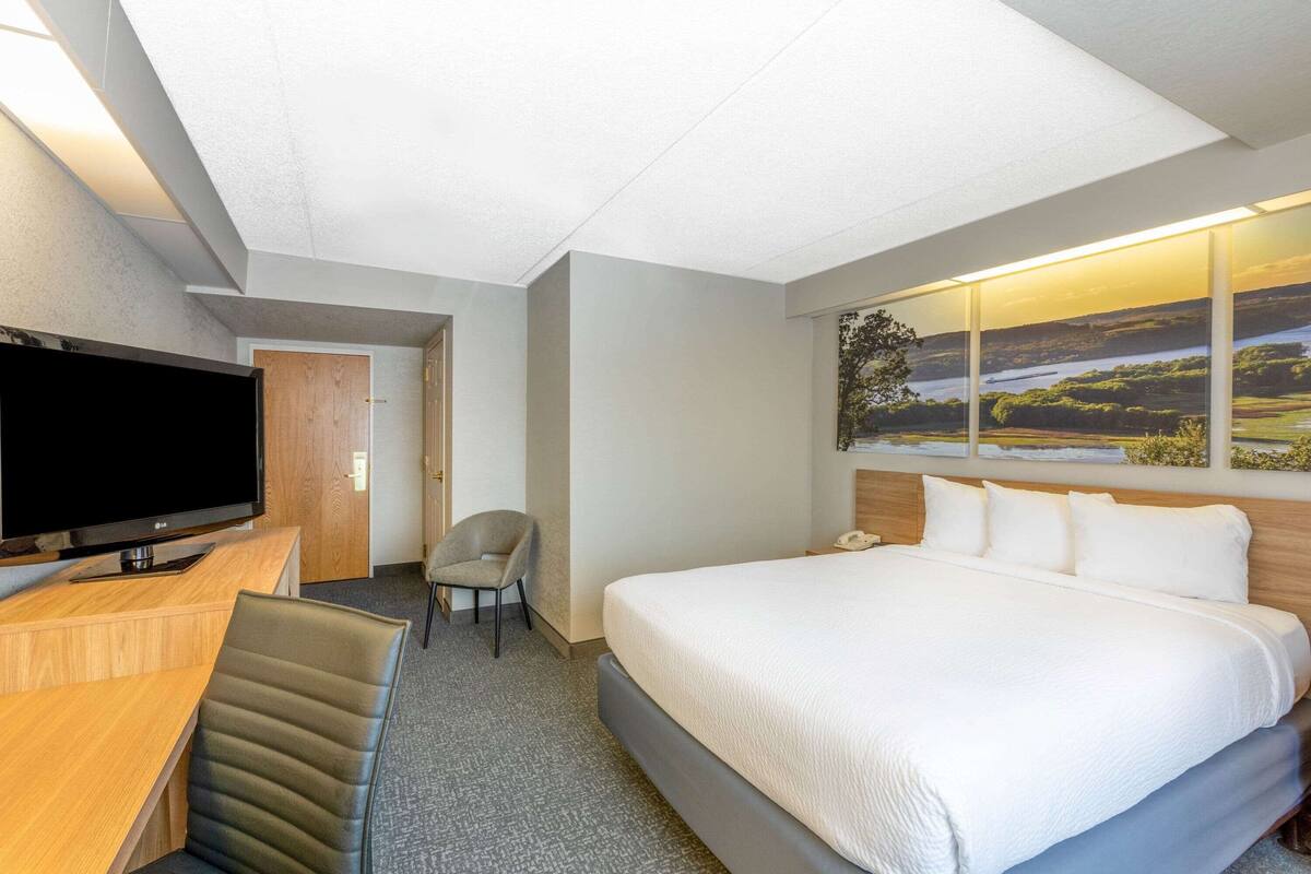 Habitación de hotel con una cama grande, un escritorio, un televisor de pantalla plana, una silla y un cuadro de un paisaje en la pared.