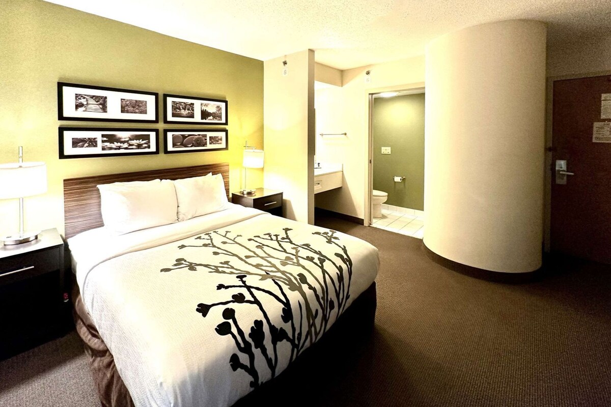 A hotel room with a bed, nightstands, a lamp, a wall with framed pictures, and a bathroom visible through an open door.