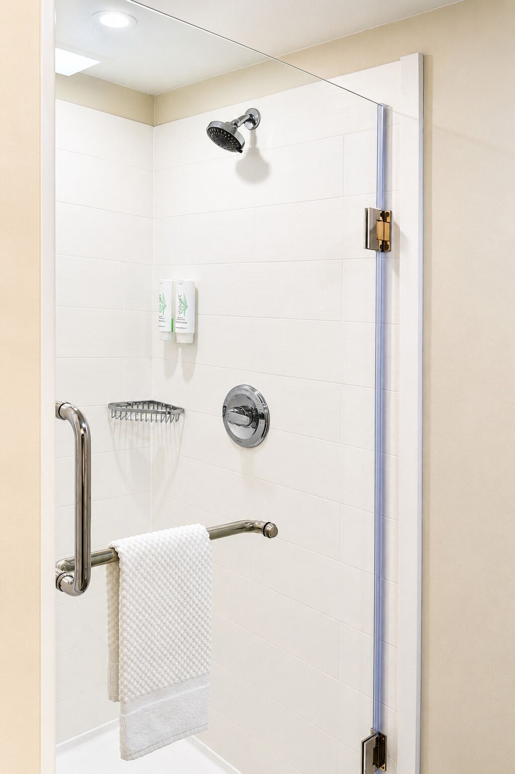 Ducha con cabezal de ducha manual, toallero con una toalla blanca y puerta de vidrio para la ducha.