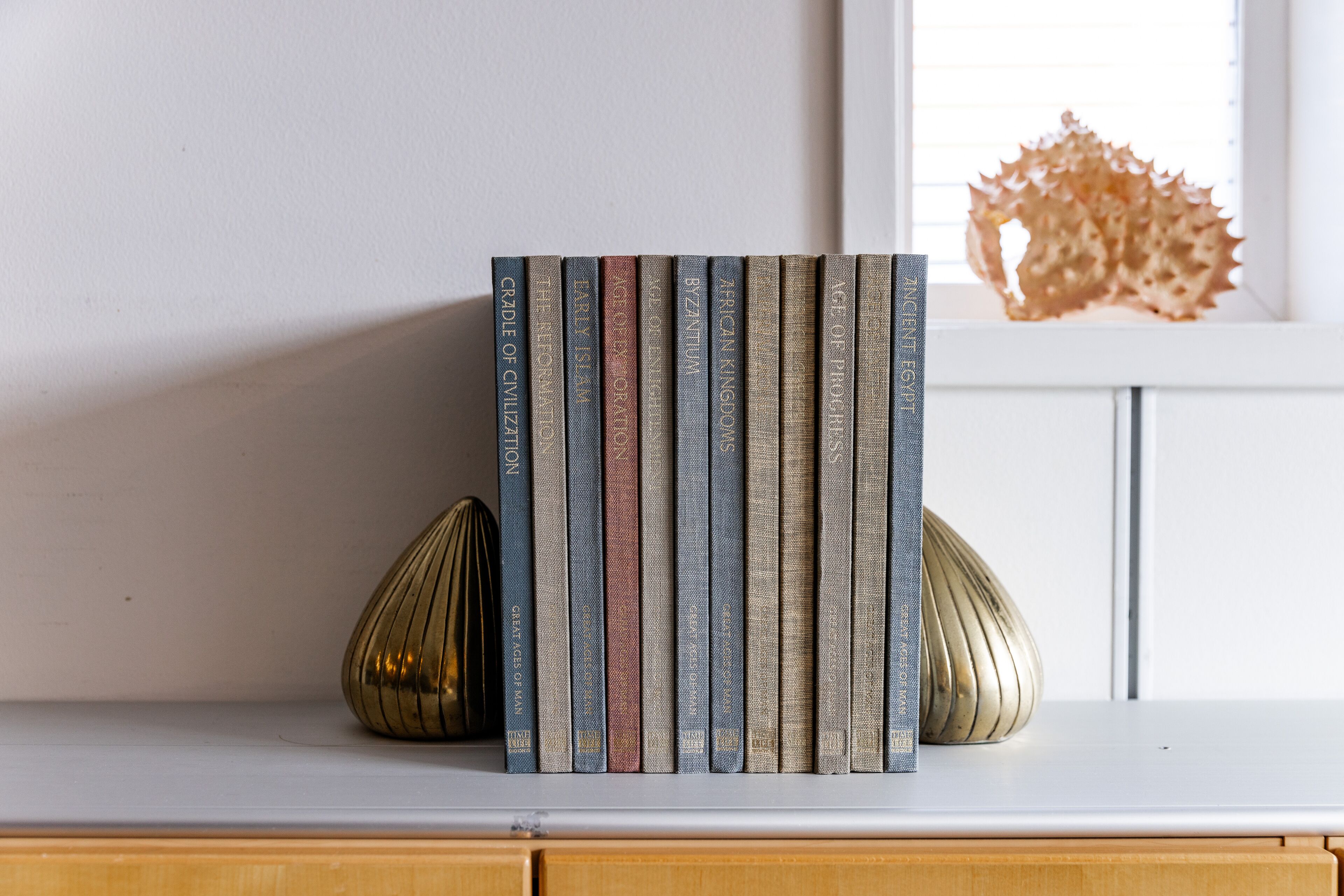 A row of books on a shelf with a decorative object in the background.