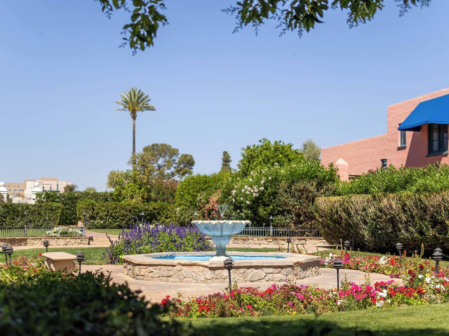 A garden with a fountain, various plants, and a building with a blue awning.