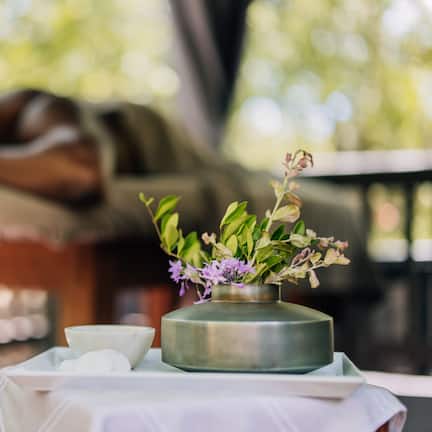 Outdoor treatment areas, body treatments, aromatherapy