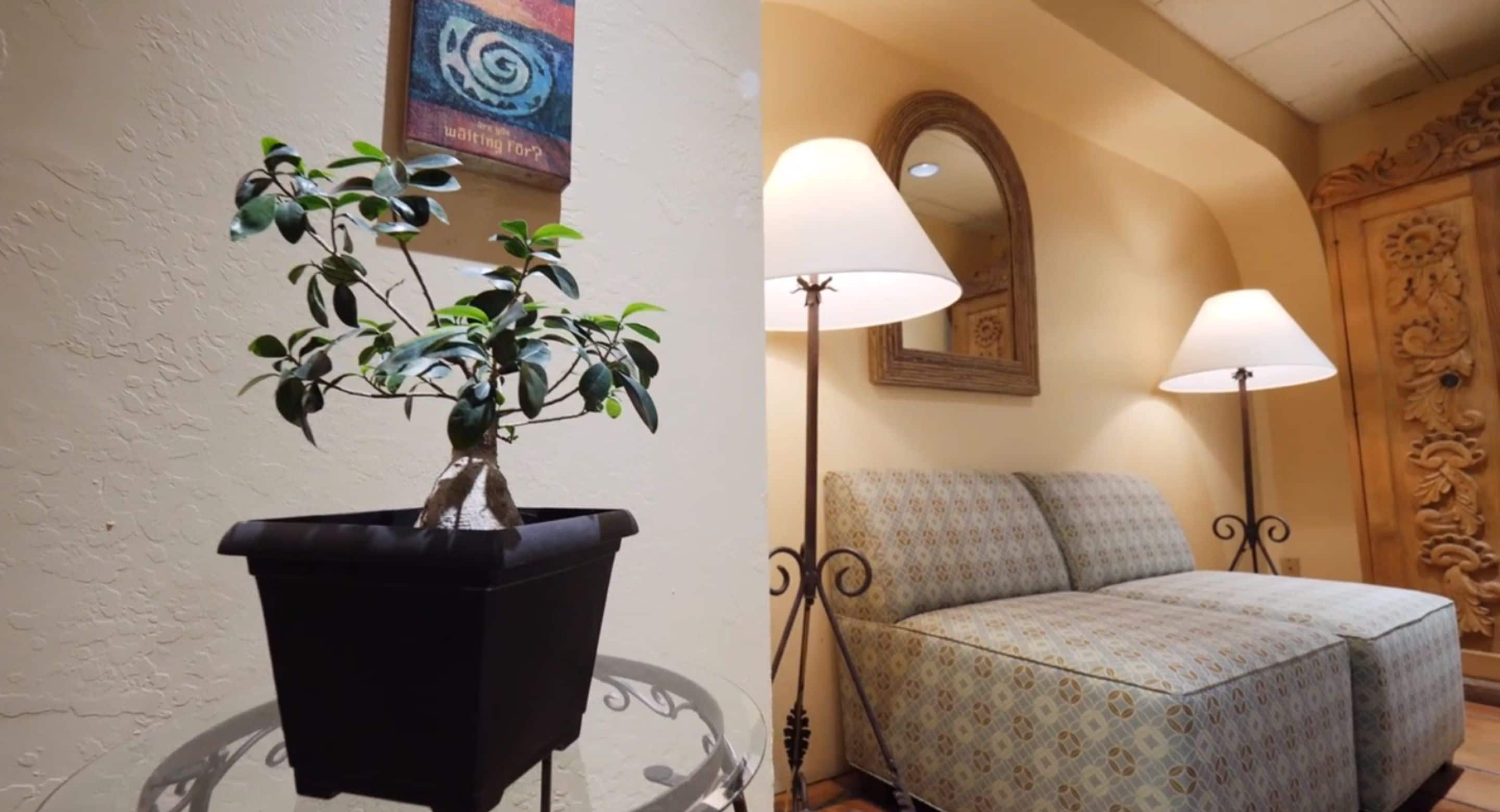 couples treatment room(s), sauna, hydrotherapy, aromatherapy, body wraps