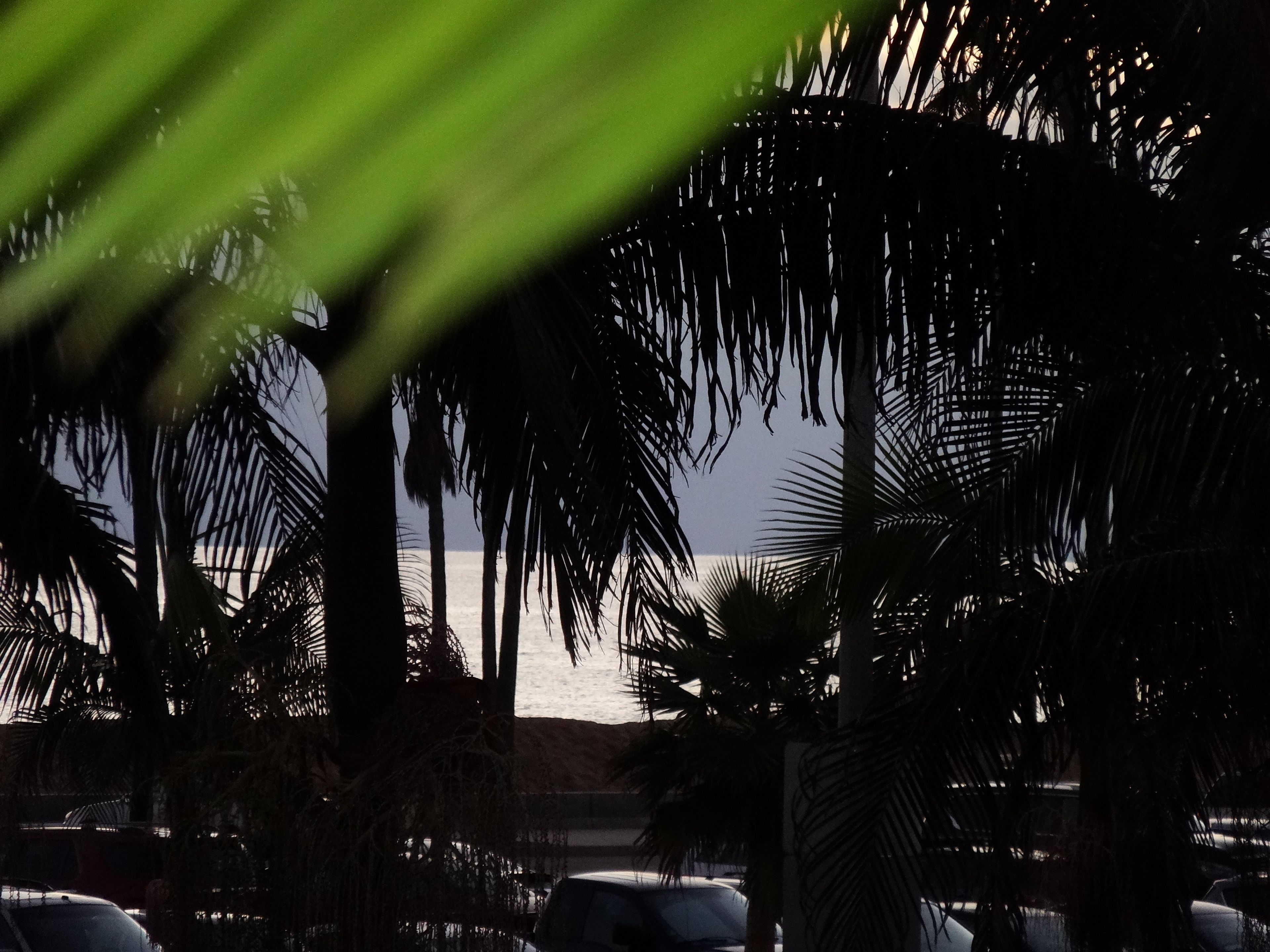 Photo - Balboa Inn, On The Beach At Newport