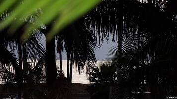 A view of a beach with palm trees and a body of water in the background.
