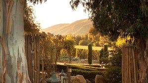 A stone pathway leading through a garden with a view of a distant hill. - Bernardus Lodge & Spa (Carmel Valley)