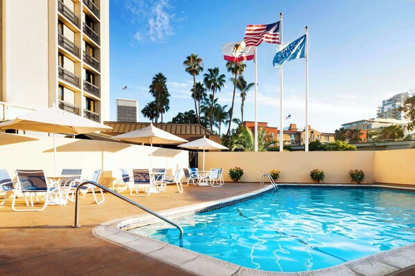 Outdoor pool, pool umbrellas, pool loungers