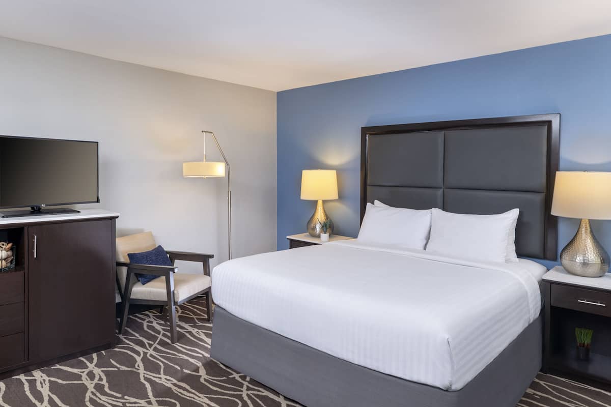 A hotel room with a large bed, a flat-screen TV, a desk, and a chair.