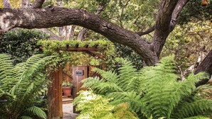 Premium bedding, in-room safe, blackout drapes, iron/ironing board - San Ysidro Ranch (Santa Barbara)