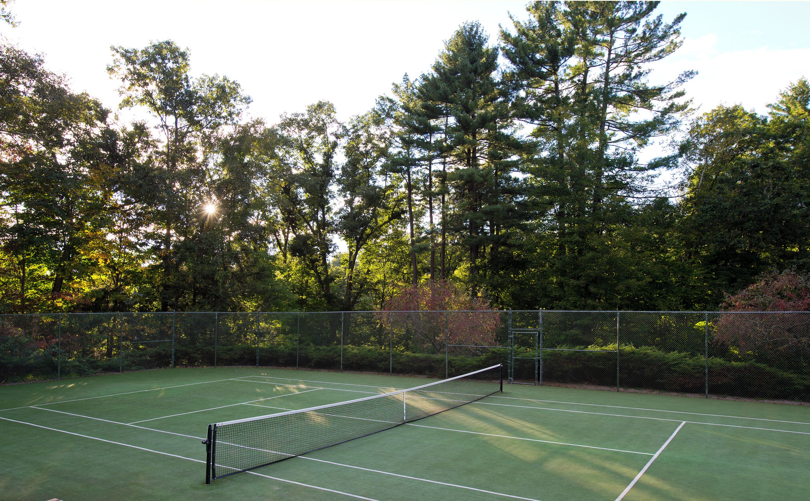 Cancha de tenis rodeada de árboles y una cerca de malla metálica.